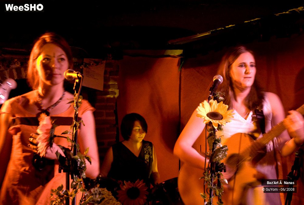 23/35 photos du spectacle Baz'Art à Nanas